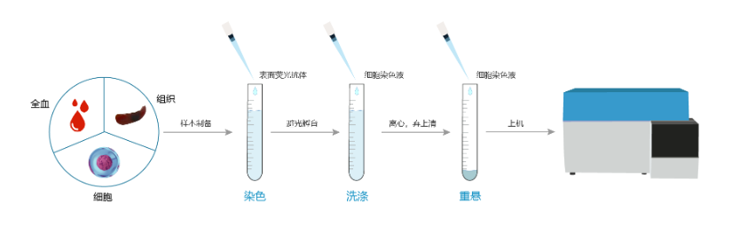 流式细胞表面染色步骤